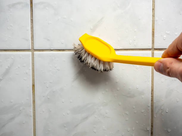 Best Mold Testing and Removal  in St James, MN