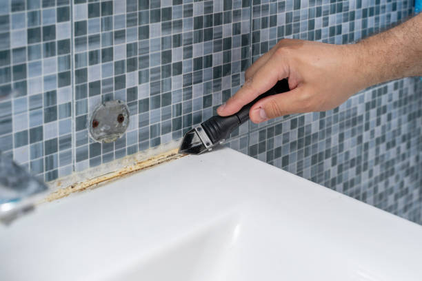 Best Same-Day Mold Removal  in St James, MN