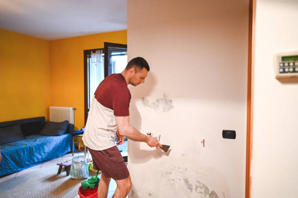 Best Office Mold Removal Services  in St James, MN